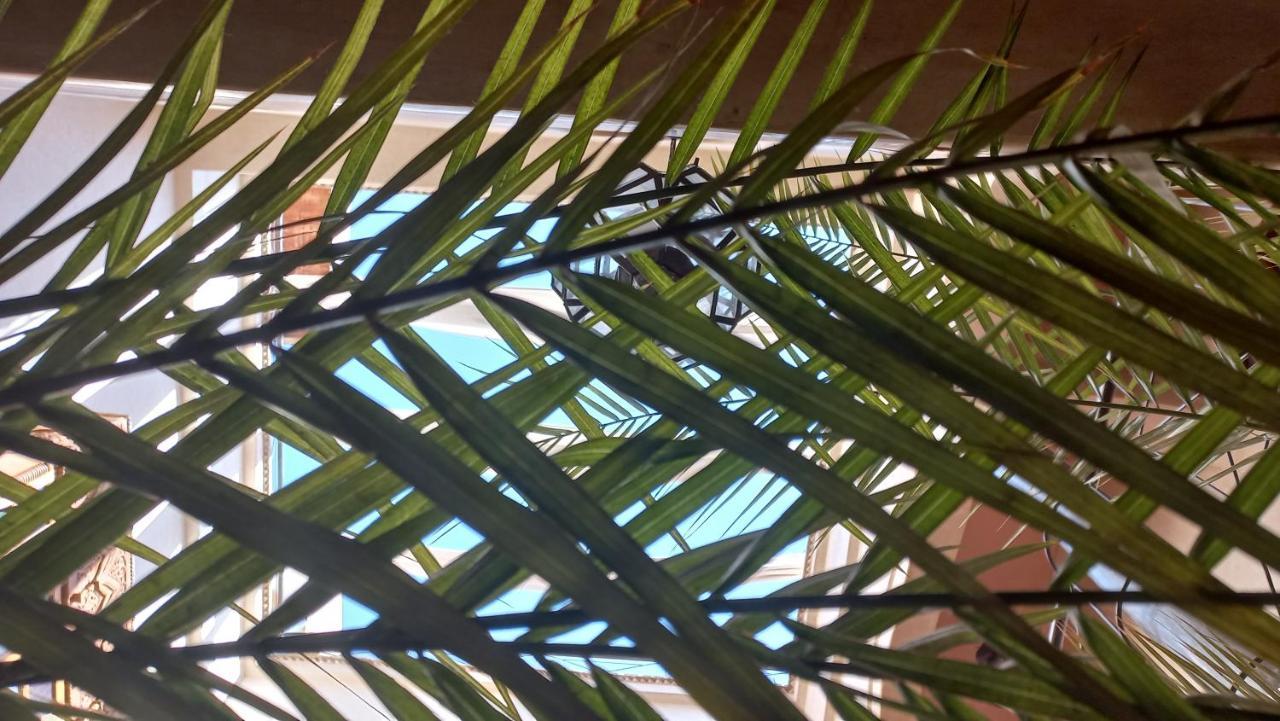 Riad Sabah مراكش المظهر الخارجي الصورة